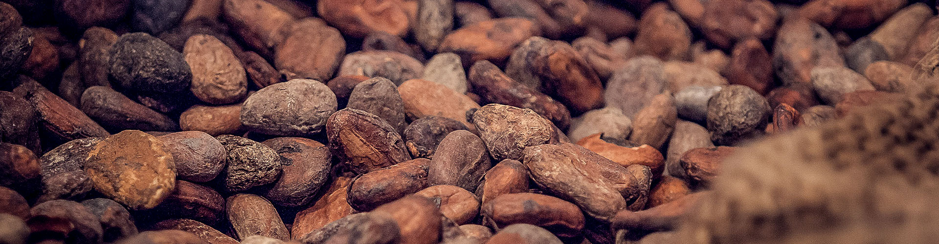 spedizioni marittime, terrestri ed aeree | movimentazione e magazzinaggio di cacao, caffè, zucchero